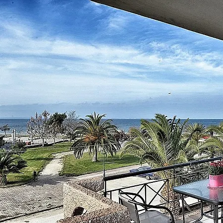 Palm Tree Apartments Psakoudia Extérieur photo