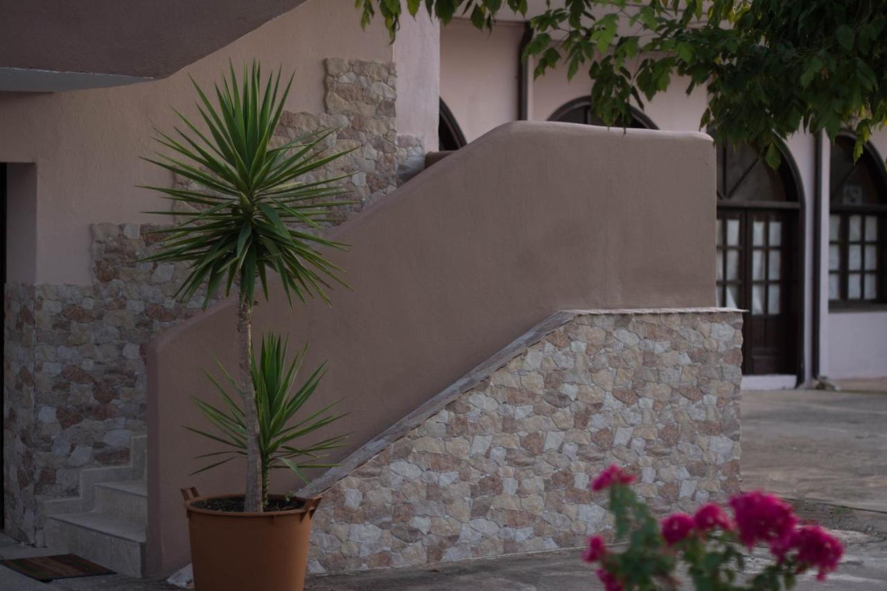 Palm Tree Appartement *