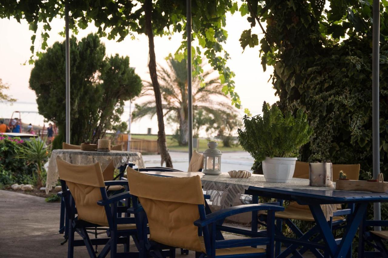 Appartement Palm Tree