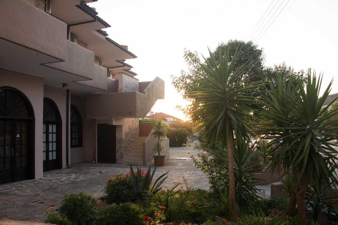 Palm Tree Psakoudia